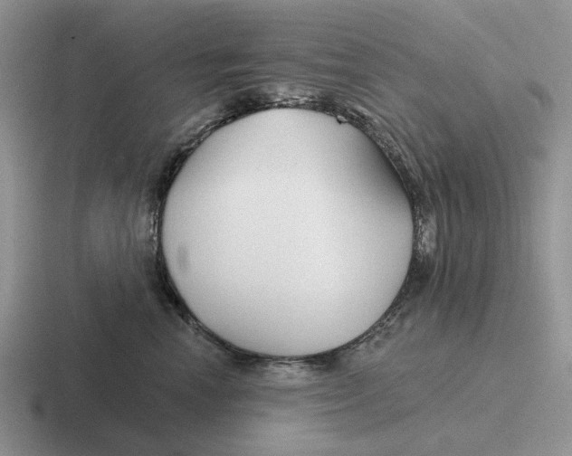 X0000116670666201001041130