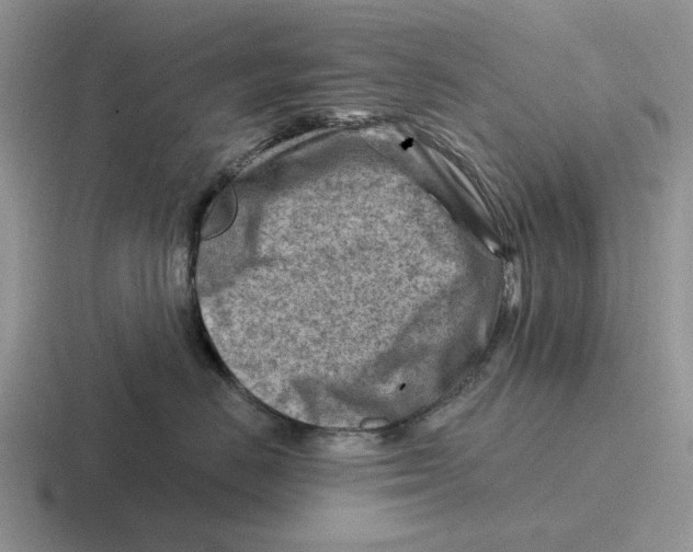 X0000116670670201001041130