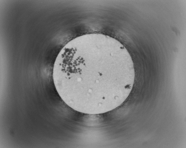 X0000116670672201001041130