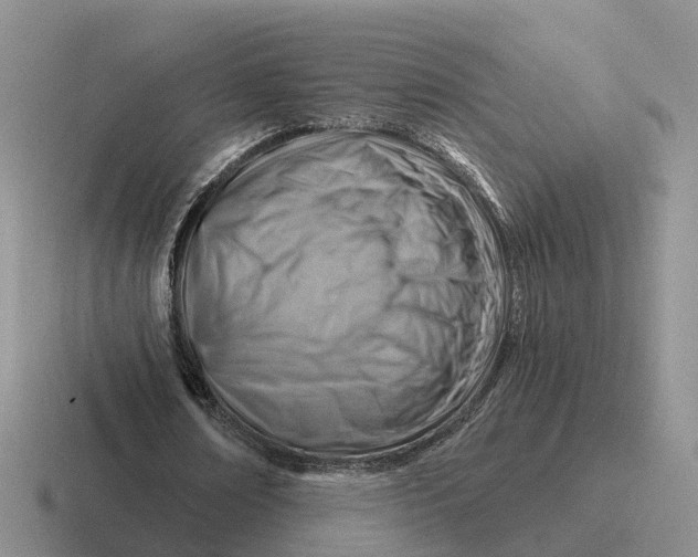 X0000116670674201001041130