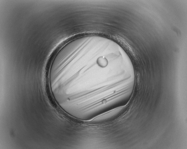 X0000116670676201001041130