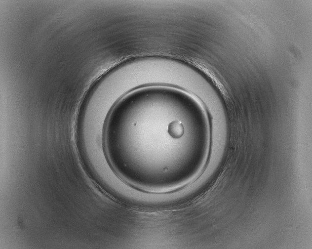 X0000116670677201001041130