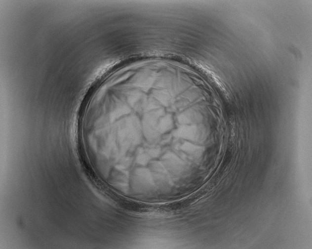 X0000116670678201001041130