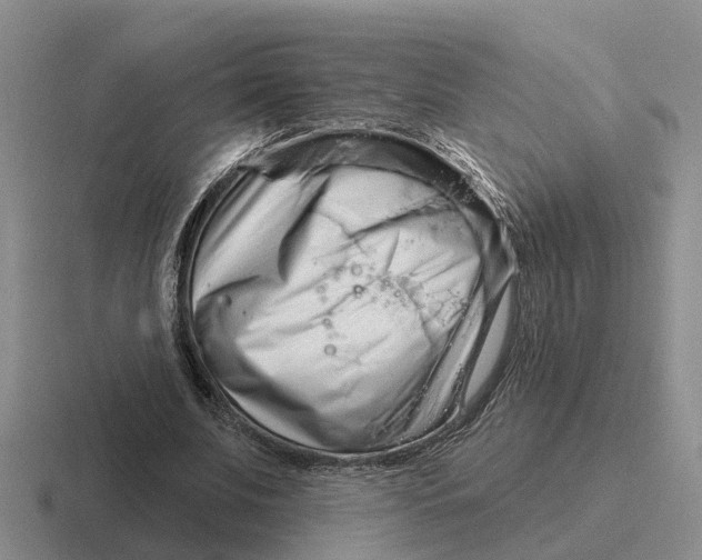 X0000116670679201001041130