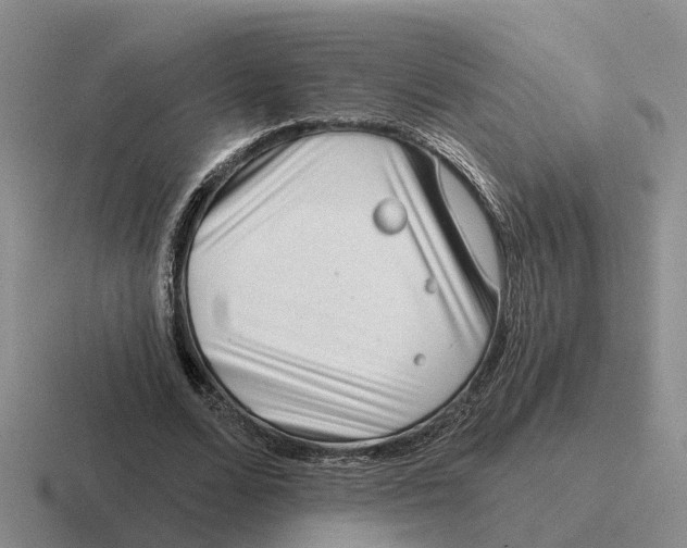 X0000116670680201001041130