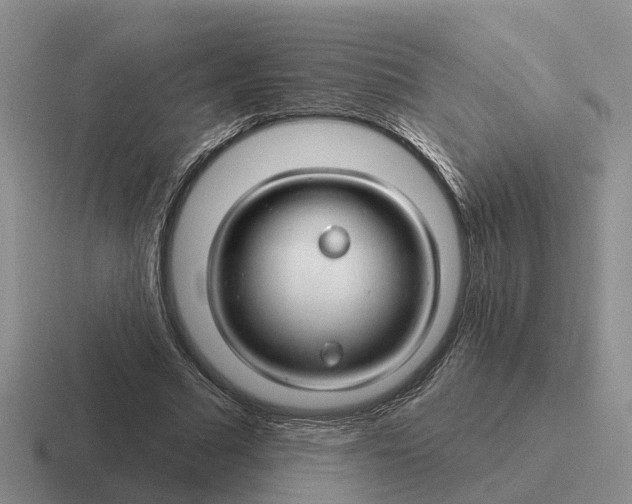 X0000116670681201001041130