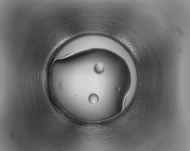 X0000116670684201001041130