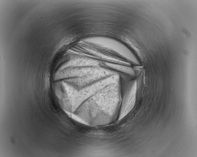 X0000116670685201001041130