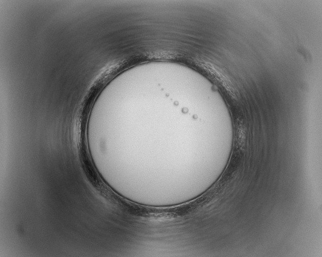 X0000116670686201001041130