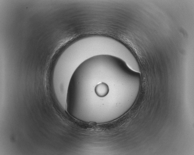 X0000116670688201001041130