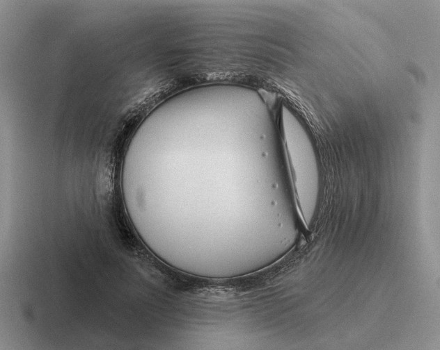 X0000116670691201001041130