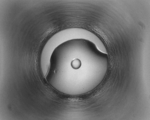 X0000116670693201001041129