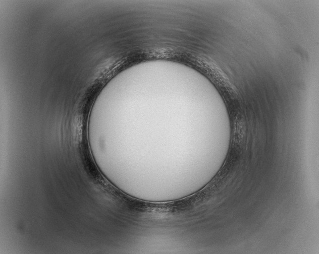 X0000116670694201001041129