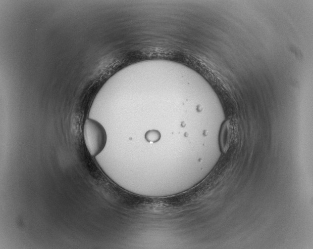 X0000116670695201001041129