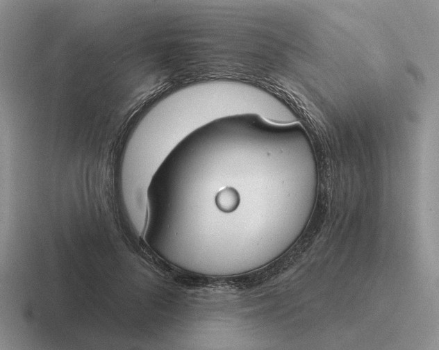 X0000116670696201001041129