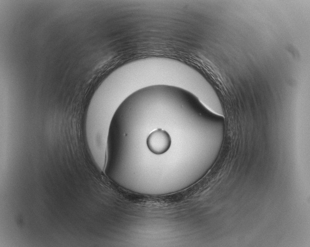 X0000116670697201001041129