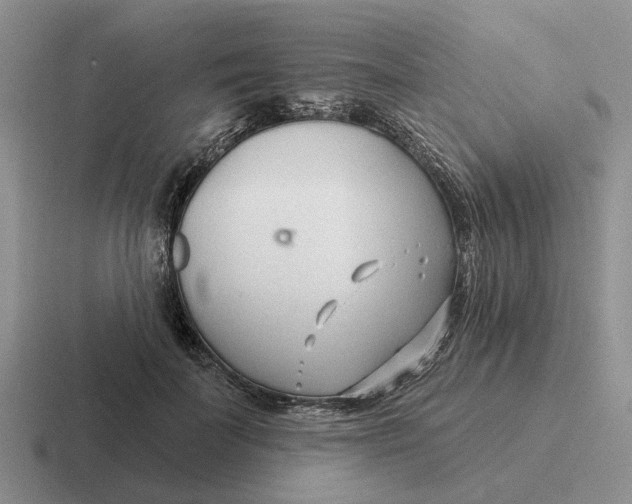 X0000116670699201001041129