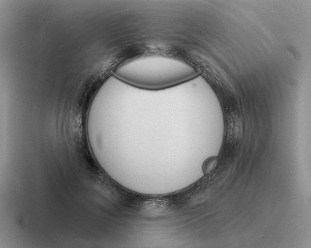 X0000116670700201001041129