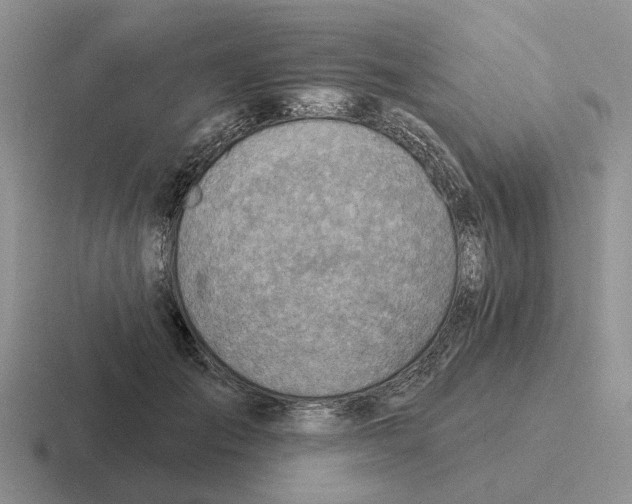 X0000116670701201001041129