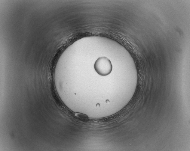 X0000116670704201001041129