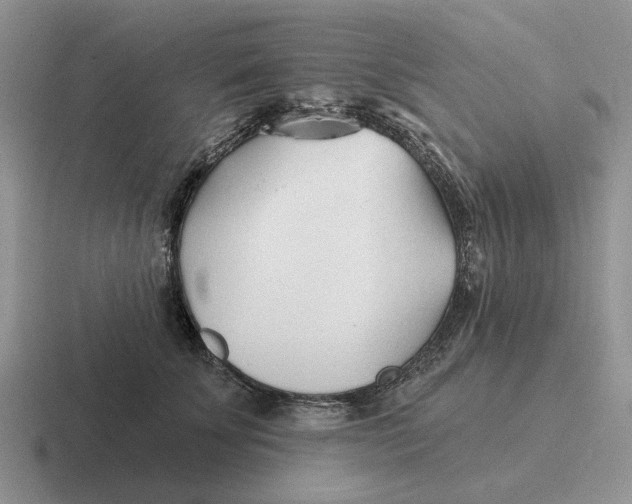 X0000116670707201001041129