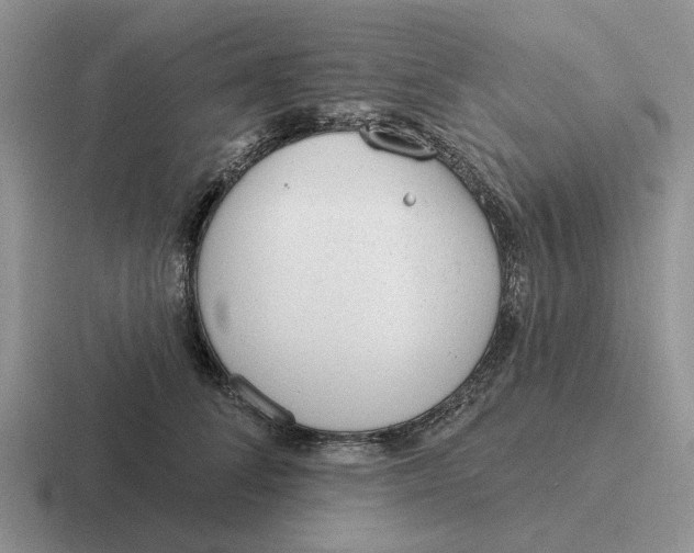 X0000116670708201001041129