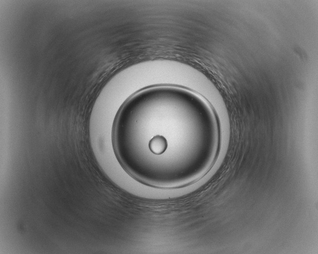 X0000116670709201001041129