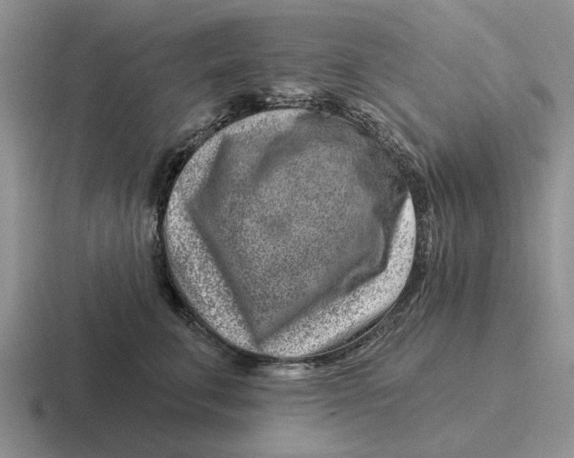 X0000116670711201001041129