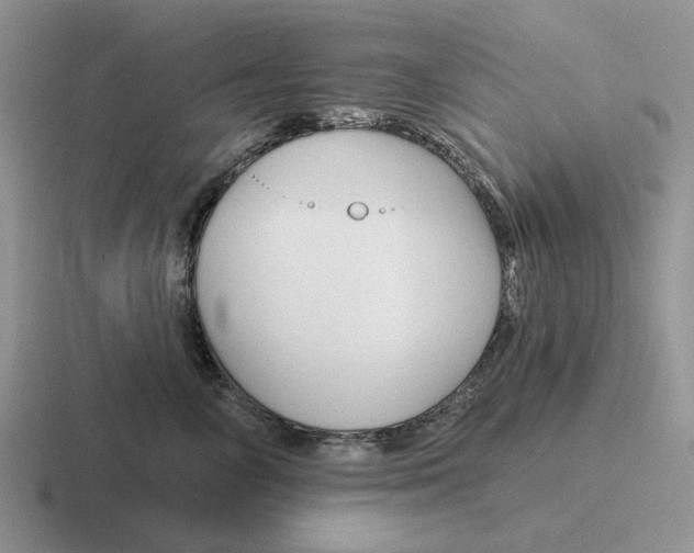 X0000116670714201001041129