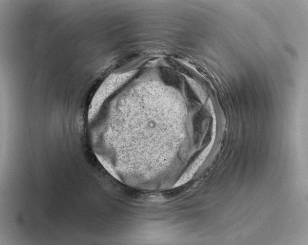 X0000116670715201001041129