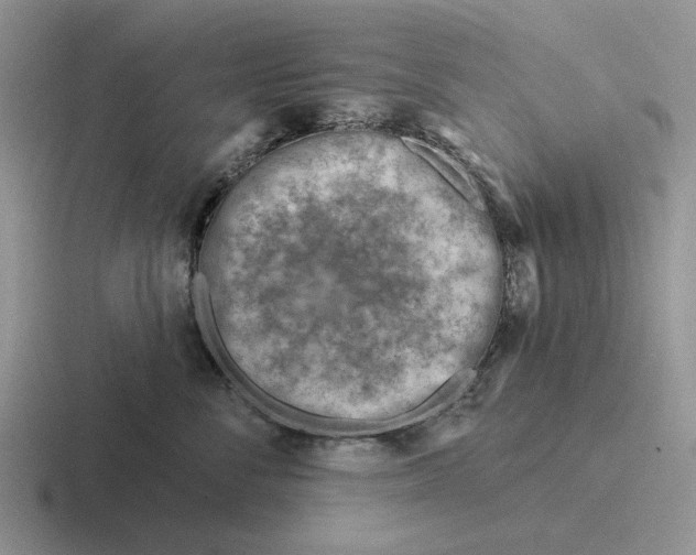 X0000116670716201001041129