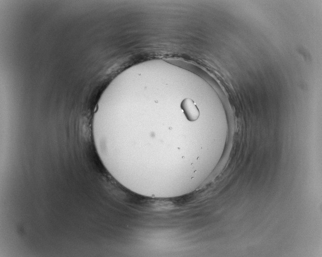 X0000116670719201001041129