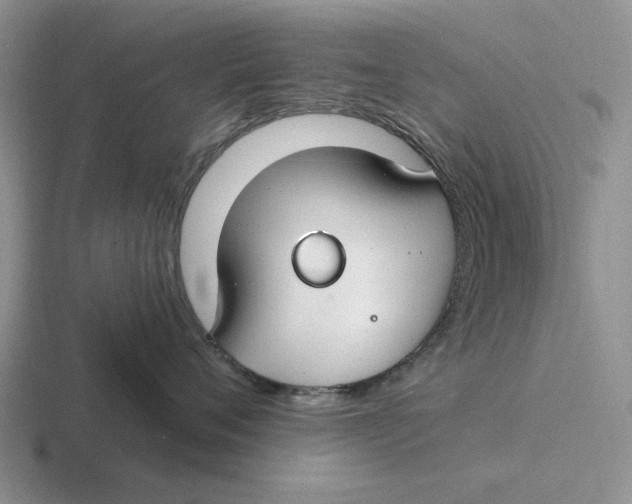 X0000116670720201001041129