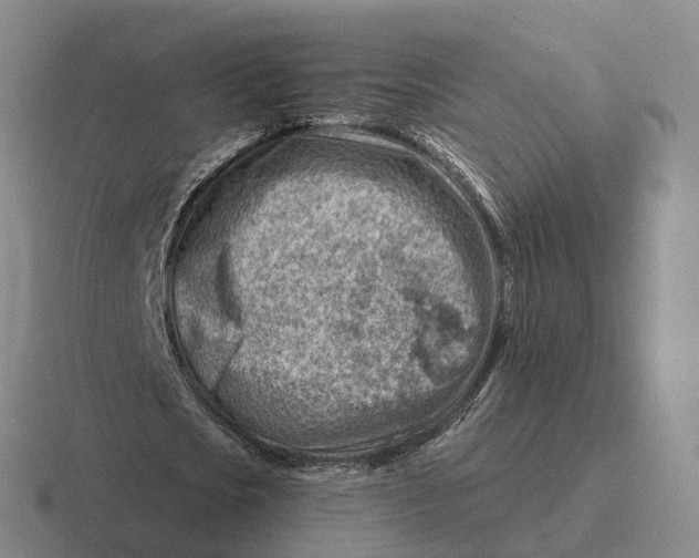 X0000116670721201001041129