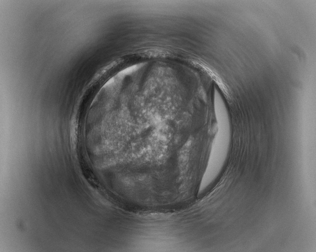 X0000116670722201001041129