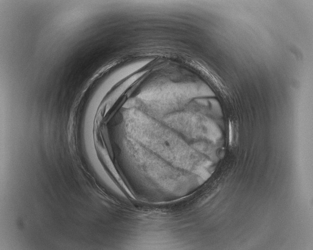 X0000116670723201001041129