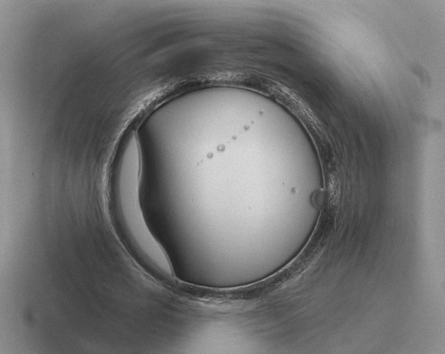 X0000116670725201001041129