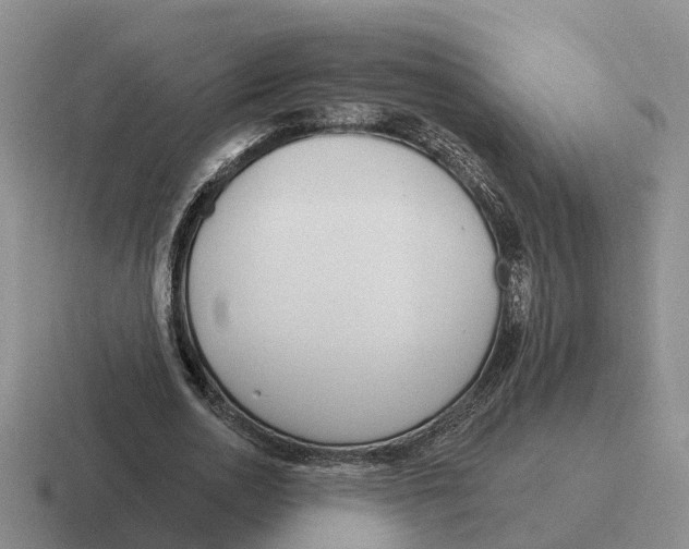 X0000116670726201001041129