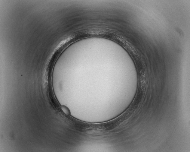 X0000116670727201001041129