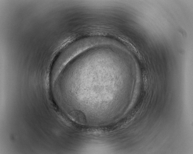 X0000116670729201001041129