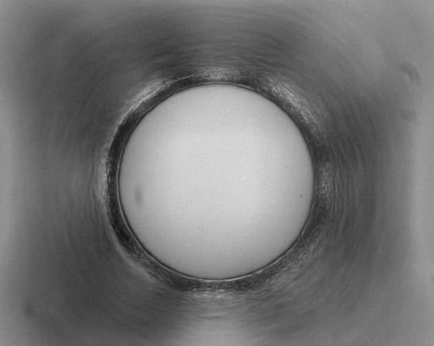 X0000116670730201001041129