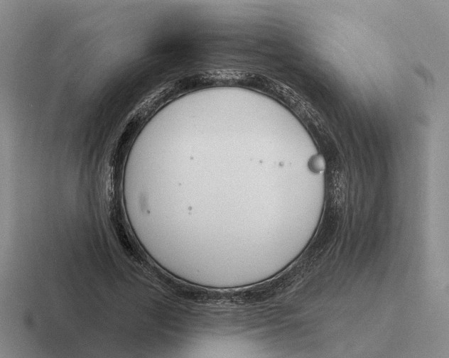 X0000116670731201001041129