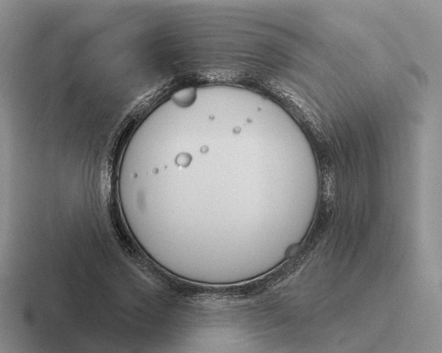 X0000116670733201001041129