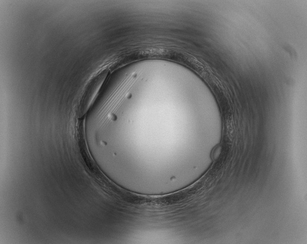 X0000116670735201001041129