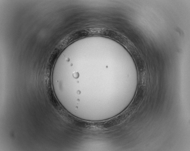 X0000116670737201001041129