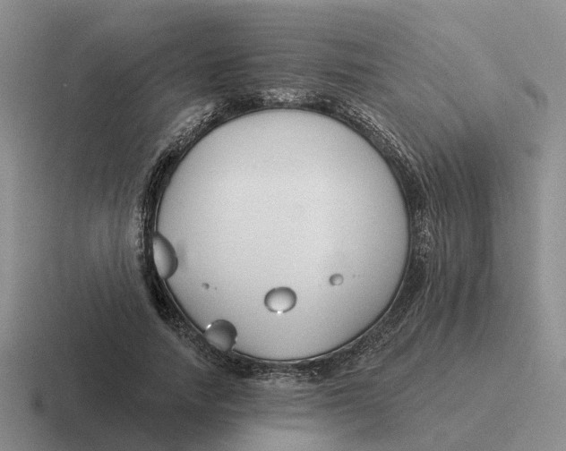 X0000116670738201001041129