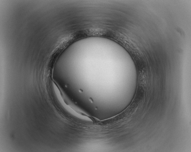 X0000116670742201001041129