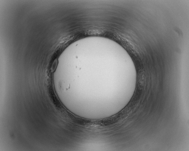 X0000116670743201001041129