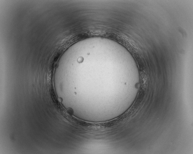 X0000116670745201001041129