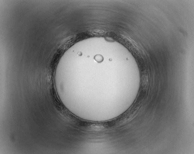 X0000116670749201001041129